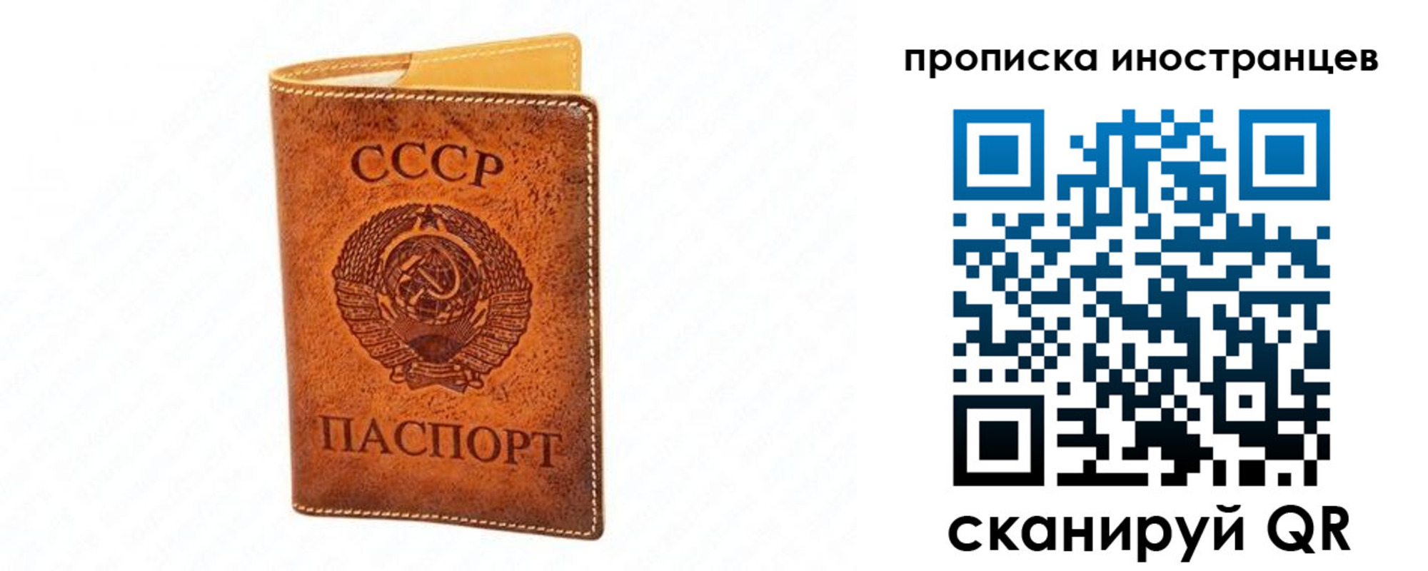 прописка для школы в Заволжье